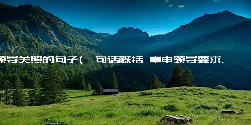 请领导关照的句子(一句话概括 重申领导要求，加强工作落实强化工作落实，再次重申领导要求)